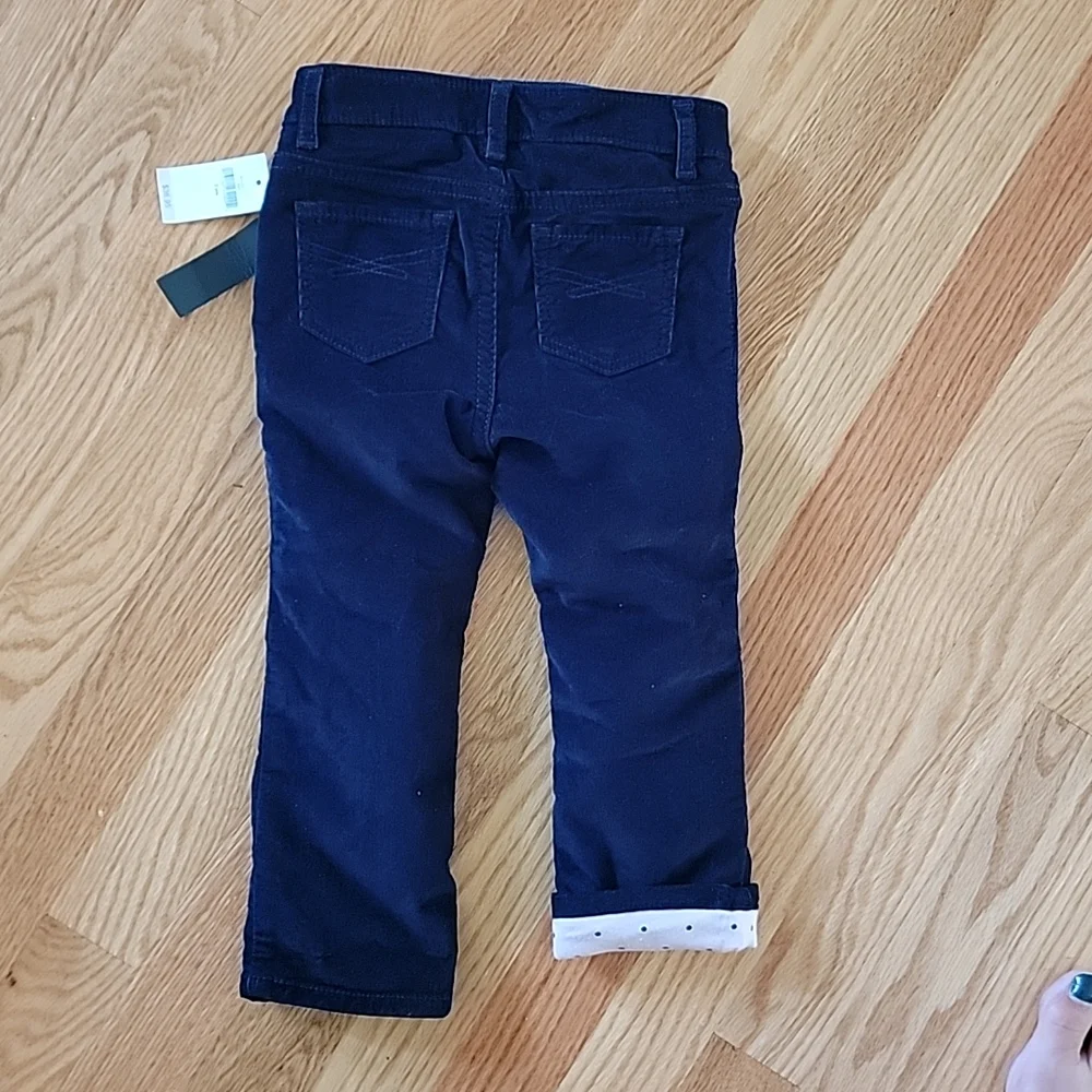 Baby Gap 1969 Blue Corduroy Pink Lined Pants